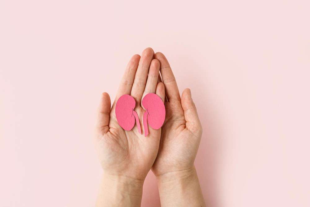 world-kidney-day-woman-holding-kidney-shaped-paper-pink-background-national-organ-donor-day
